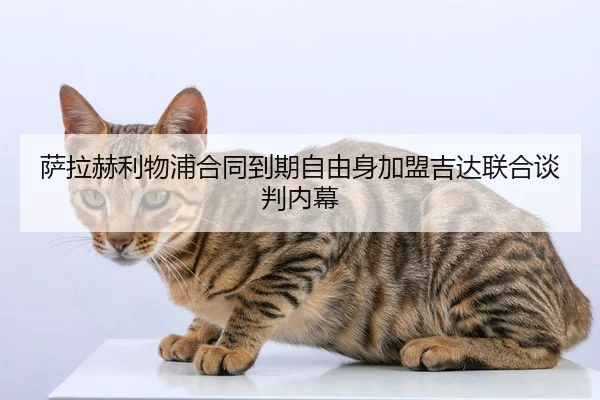 sa-la-he-li-wu-pu-he-tong-dao-qi-zi-you-shen-jia-meng-ji-da-lian-he-tan-pan-nei-mu-2-363.jpg